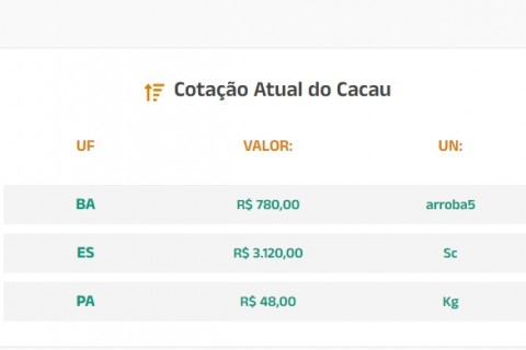 Cotação Atual do Cacau