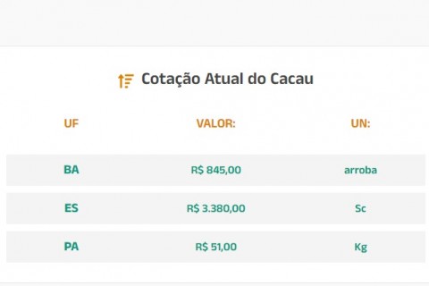 Cotação Atual do Cacau