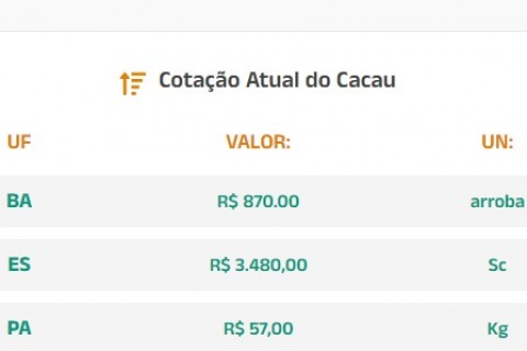 Cotação Atual do Cacau