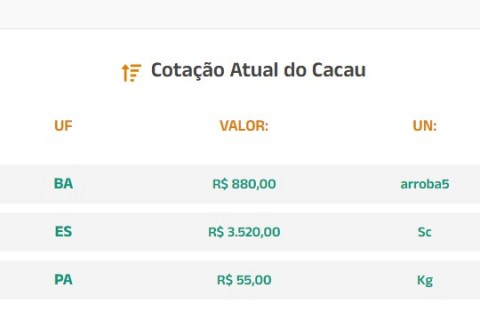 Cotação Atual do Cacau