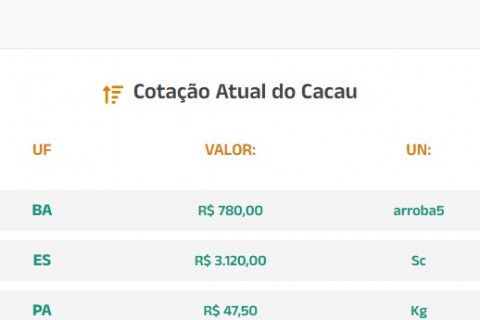 Cotação Atual do Cacau