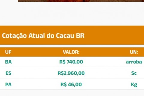 Cotação Atual do Cacau BR