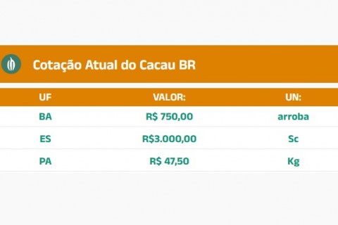 Cotação do Cacau