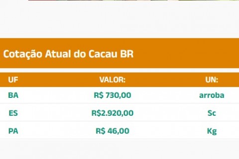 Cotação do Cacau