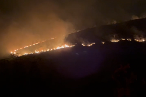 Incêndio de grandes proporções atinge área de mata entre Jequié e Jitaúna