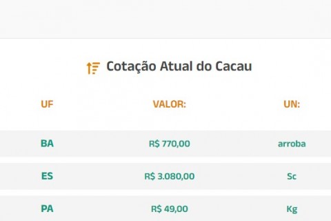 Cotação Atual do Cacau