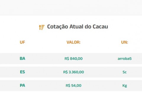 Cotação Atual do Cacau