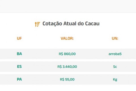 Cotação Atual do Cacau