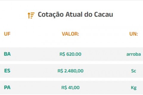 Cotação Atual do Cacau