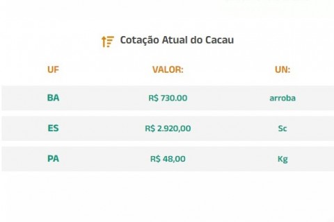 Cotação Atual do Cacau