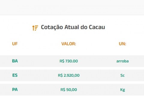 Cotação Atual do Cacau