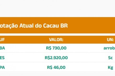 Cotação do Cacau