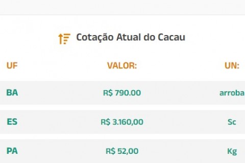 Cotação Atual do Cacau