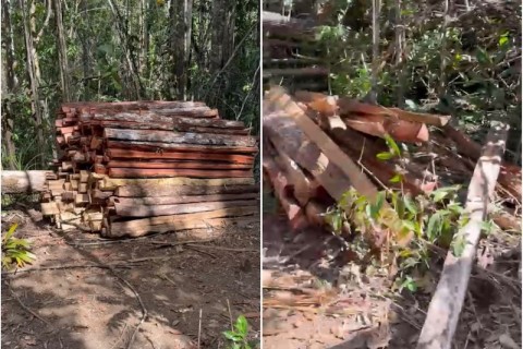 Apuarema: Moradores denunciam desmatamento em área de nascentes na região da Ferrugem