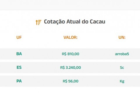 Cotação Atual do Cacau