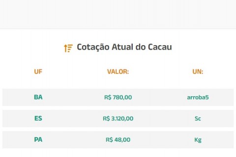 COMENTÁRIO DIÁRIO – MERCADO DE CACAU – 16/07/2024 – CLAUDEMIR ZAFALON – RJO´BRAIN