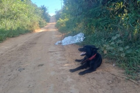 Homem é morto a tiros em estrada na zona rural de Ubatã