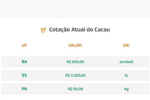 Cotação Atual do Cacau