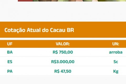 Cotação do Cacau