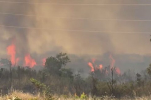 Mais de 90% das queimadas na Bahia são causadas por ação humana