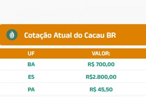 Cotação do Cacau