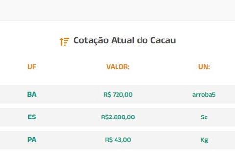 Cotação Atual do Cacau