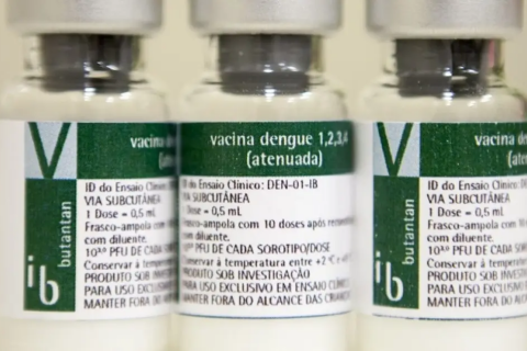 Vacina da dengue do Butantan tem eficácia geral de 79,6%, semelhante à Qdenga, mostra estudo