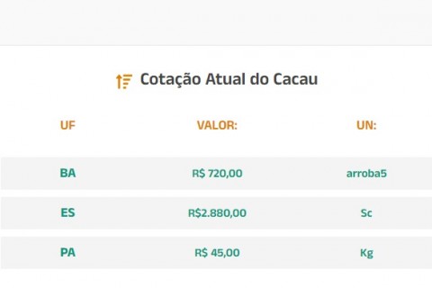 Cotação Atual do Cacau