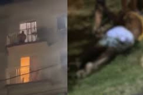 Mulher morre a marretadas por companheiro em Lauro de Freitas