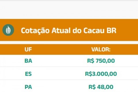 Cotação do Cacau