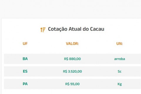 Cotação Atual do Cacau