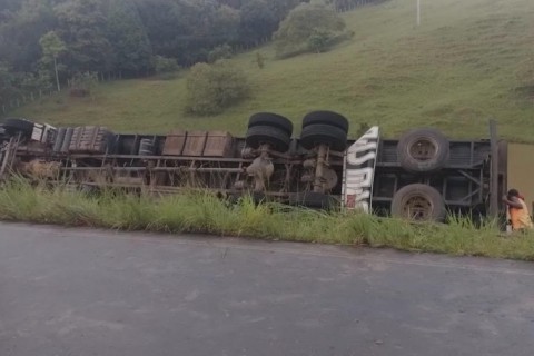 Caminhão transportando gado tomba na BA-120, entre Ibirataia e Algodão