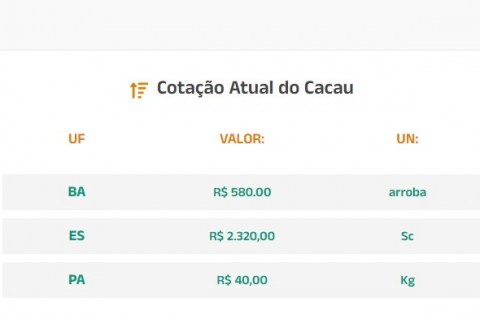 Cotação Atual do Cacau