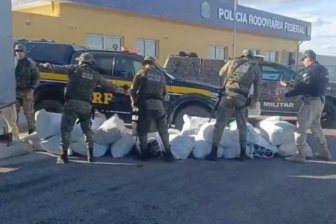 Mais de meia tonelada de maconha é apreendida em caminhão no interior da Bahia