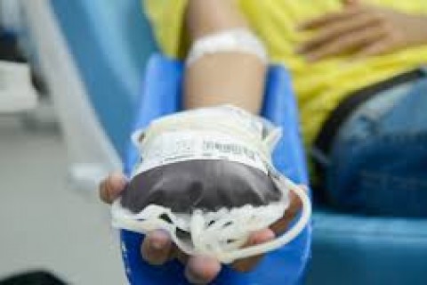 STF confirma direito de recusar transfusão de sangue por religião