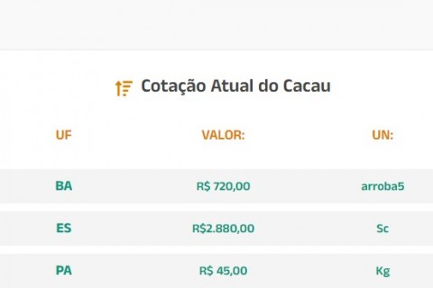 Cotação Atual do Cacau