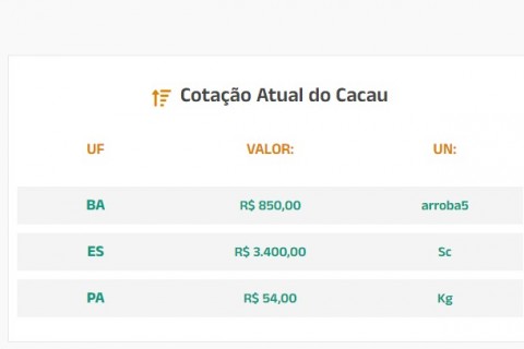 Cotação Atual do Cacau