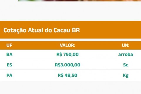 Cotação do Cacau