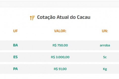 Cotação Atual do Cacau