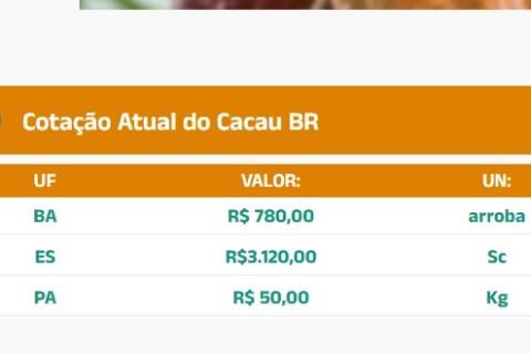 Cotação do Cacau