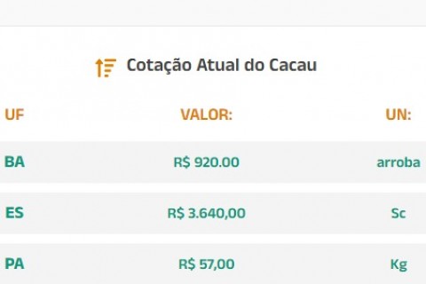 Cotação Atual do Cacau