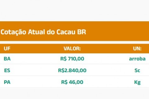 Cotação do Cacau