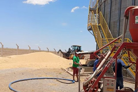 Trabalhador morre após cair em silo de soja em fazenda na Bahia; colega de trabalho sobreviveu