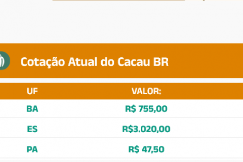 Cotação do Cacau