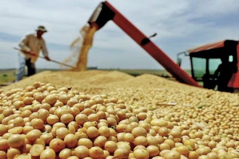 PIB do Brasil cresce 2,3% em 2025, menor alta em 5 anos