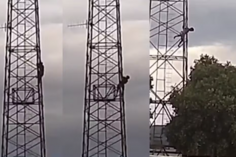 Maracás: Homem cai de torre telefônica ao ser atacado por abelhas