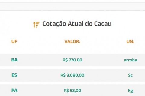 Cotação Atual do Cacau