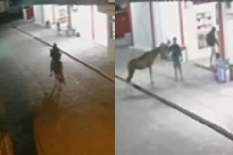 Ladrão chega a cavalo, rouba lanchonete e foge montado na Bahia