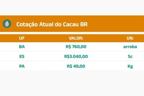 Cotação do Cacau