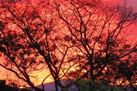 Primavera começa nesta terça-feira com previsão de calor intenso e pouca chuva na Bahia